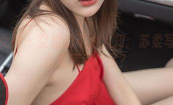 梦丝女神 - 空姐的不为人知：苏柔写真集合里藏着什么？