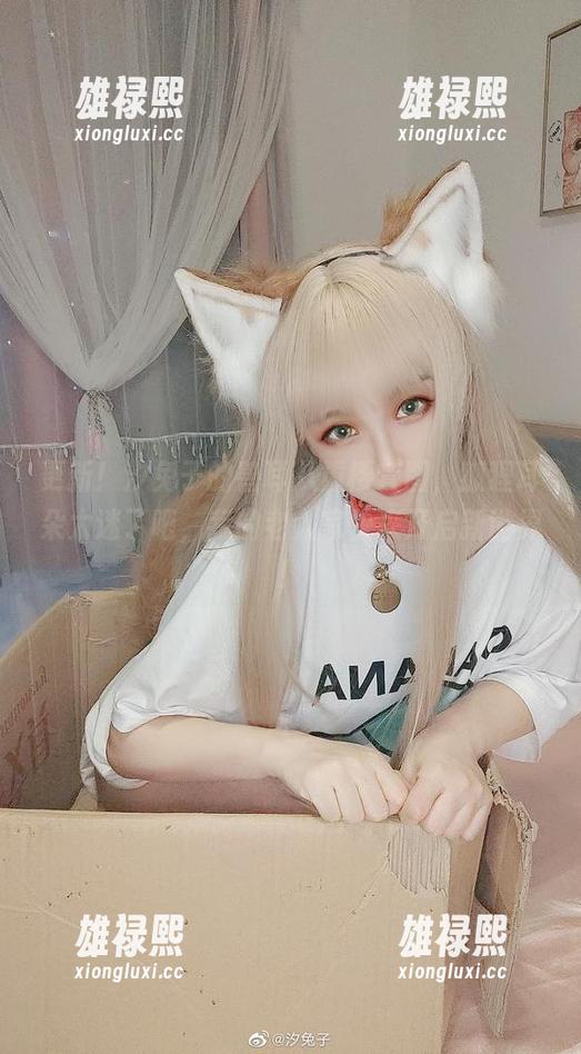 更新！汐兔子的兽耳八重樱套图，狐狸耳朵太迷了吧，我的老人家快来开启新世界！